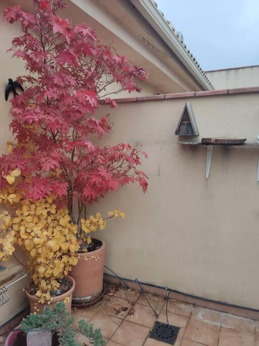 Luminoso Con Jardin Appartement
